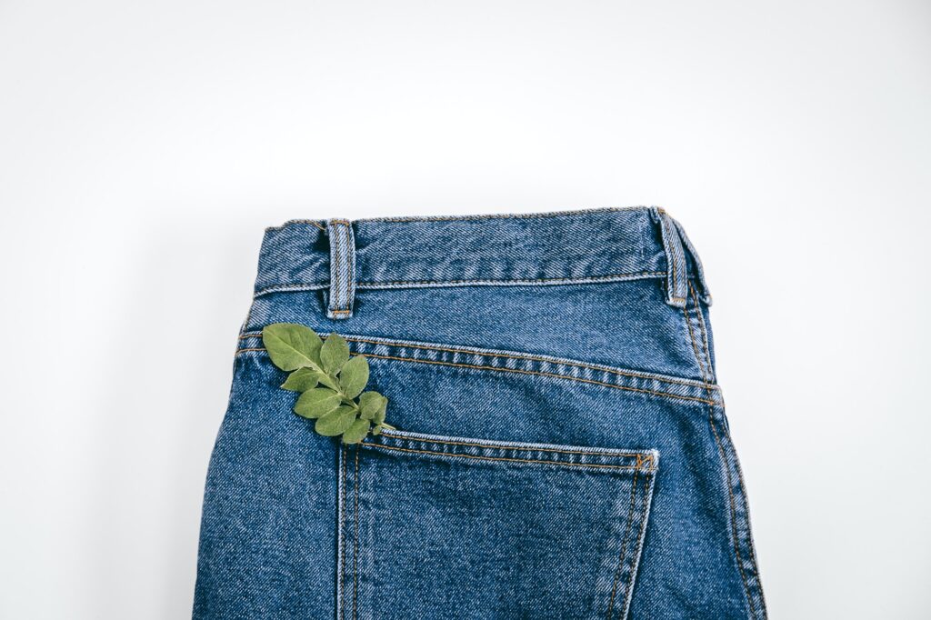 Sustainable fashion, Circular economy, denim eco friendly clothing. Green leaf plant on blue denim